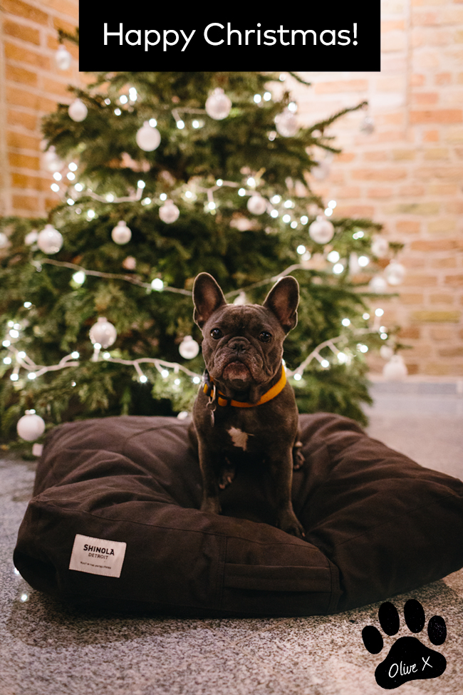 Happy Christmas from überlin and Olive