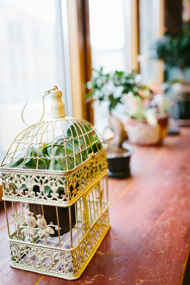 House of Small Wonder bird cage