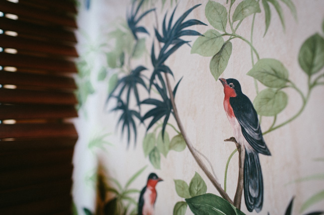 House of Small Wonder bird wrapping paper