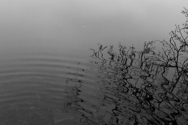 Grunewald Lake Reflection Water