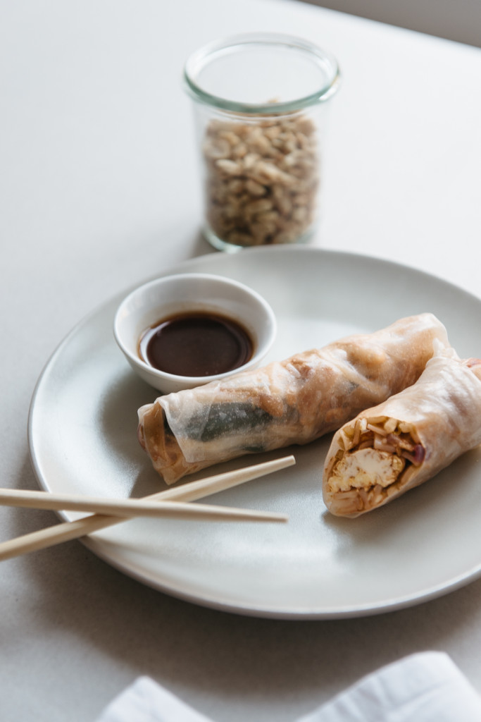 Thai and Techno - pad Thai rolls with tamarind dipping saunce