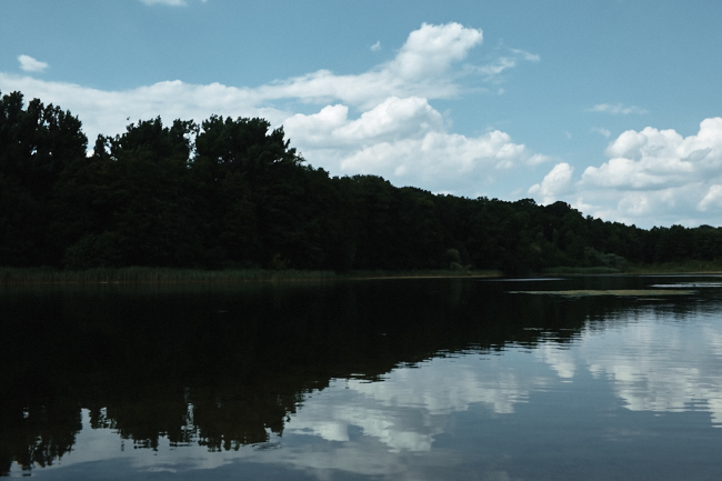 berlin grunewaldsee reflection lake