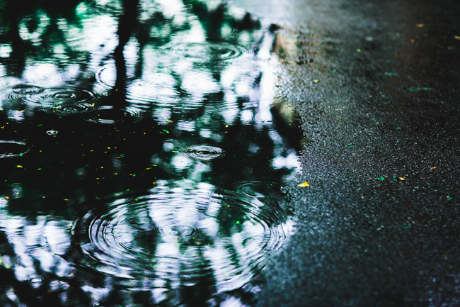 berlin summer rain reflection puddle