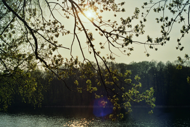berlin grunewald lens flare lake